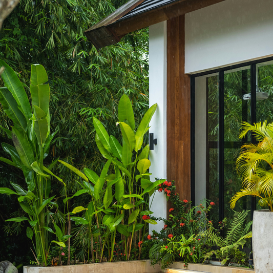 Caribbean Modern vs. West Indian Modern